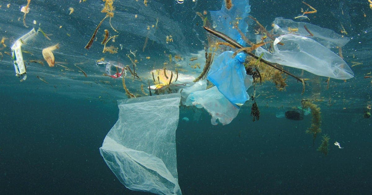Forskningsdebatt om plastmätningar i människokroppen