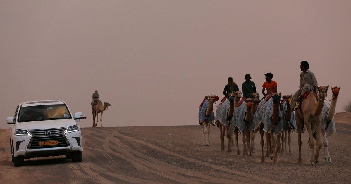Utrikesdepartementets krishantering under granskning